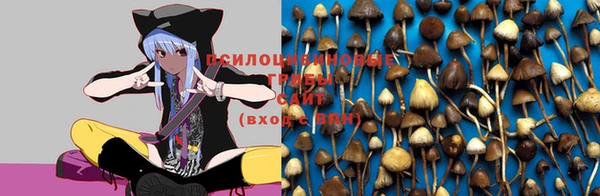 твердый Баксан