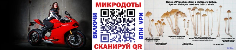 Купить закладки  Долинск  Псилоцибиновые грибы прущие грибы 